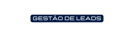 gestão de leads